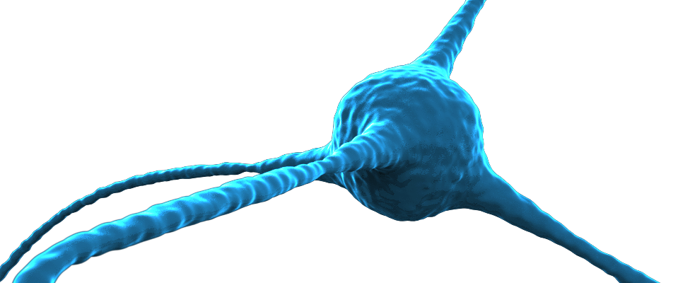 Neuro Nerve